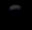 Benutzeravatar